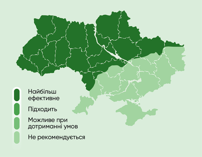 P7818